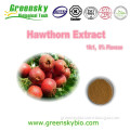 Natural plant chinese hawthorn berry extract (2% Flavonoids&flavone)
